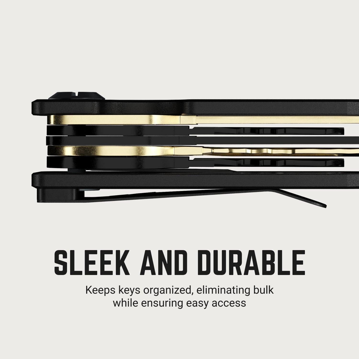 Ridge KeyCase - Platinum